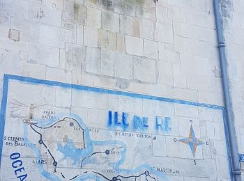 Excursión Senderismo La Flotte - Île de Ré - Photo