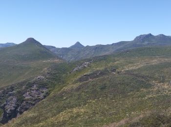 Tocht Trail Laveissière - Puy de Peyre Arse/ Puy Bataillouse / Téton de Vénus et Rocher du bec de l'aigle  - Photo