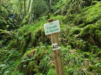 Randonnée Marche Rochesson - cascades du bouchot  - Photo