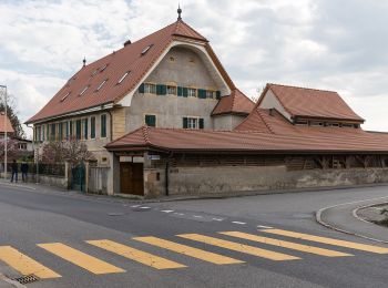 Randonnée A pied Morat - Schlacht-Denkmal - fixme - Photo