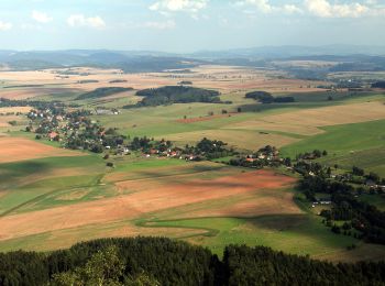 Tocht Te voet Machov - [Ž] Pánův kříž - Bor - Photo