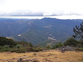 Trail Walking Val-d'Aigoual - cascades orgon - Photo