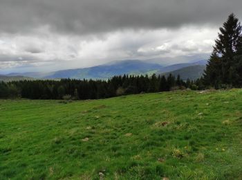 Tour Wandern Sulzern - Parking Tanet Le Vorlet retour  - Photo