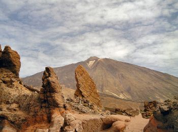 Tour Zu Fuß La Orotava - S-7 Montaña Blanca-La Rambleta - Photo