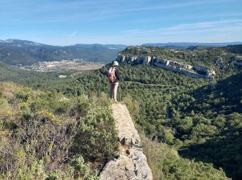 Randonnée Marche Roquefort-la-Bédoule - Le Montounier 563m 6.11.22 - Photo