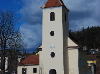 Tocht Te voet Rohr im Burgenland - Rohr - Stegersbach - Rohr - Photo