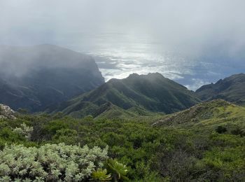 Tour Wandern Buenavista del Norte - Teno Alto  - Photo