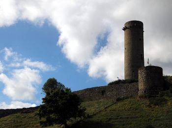 Tour Zu Fuß Comano - Trekking Lunigiana 9 - Photo