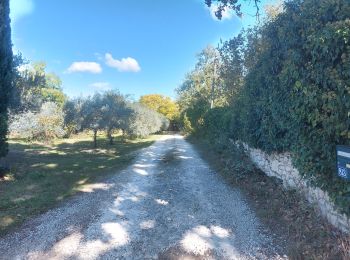 Tour Wandern Pernes-les-Fontaines - Pernes Vaucluse lolo - Photo