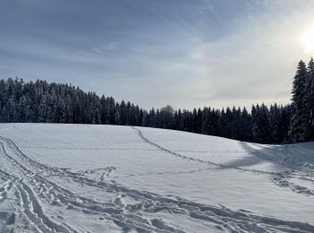 Tour Wandern Haut Valromey - Lachat  - Photo