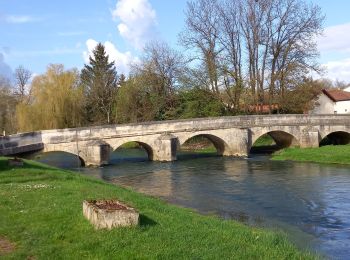 Randonnée Marche Beurey-sur-Saulx - beurrey la taille jacquemin - Photo