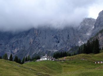 Excursión A pie Mühlbach am Hochkönig - AT-86 - Photo