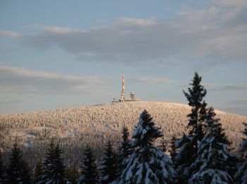 Tocht Te voet Clausthal-Zellerfeld - Rund um das Große Torfhausmoor - Photo