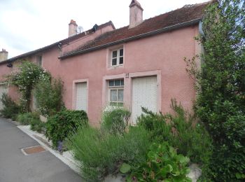 Percorso A piedi Flavigny-sur-Ozerain - Des Anis au Vignoble - Photo