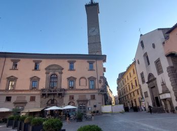Tour Wandern Viterbo - CR_Francigena_DN_50_Viterbe_Vetralla_20230603 - Photo