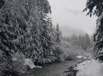 Excursión Raquetas de nieve Champagny-en-Vanoise - pralongnan - Photo