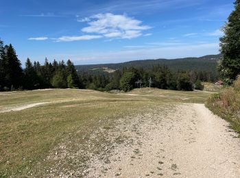 Randonnée Marche Gex - Balade à Col de la Faucille, Gex - Photo