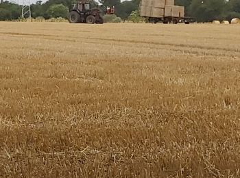 Randonnée Marche Livarot-Pays-d'Auge - Cerqueux  - Photo