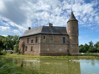 Percorso Marcia Holsbeek - Kasteel van Horst - Le long du S-GR Hageland - Photo