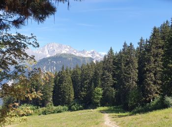 Trail Mountain bike Courchevel - courchevel - Photo