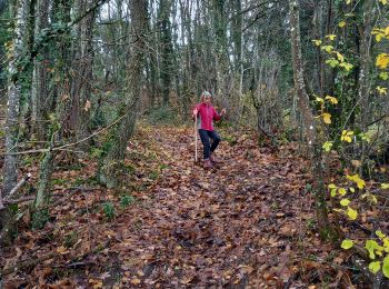 Tour Wandern Montagny-lès-Buxy - Yes we Cam - Photo