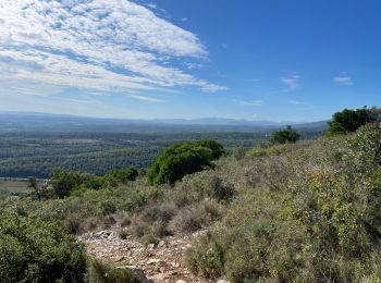 Trail Walking Terrades - Santa Madalena  Terrades  - Photo