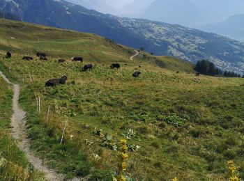 Tocht Stappen Arbaz - pas de Maimbré  - Photo