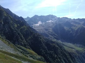 Trail Walking Le Haut-Bréda - Montagne de Périoule - Photo