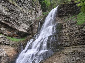 Excursión Senderismo Saint-Pierre-d'Entremont - saint meme - Photo