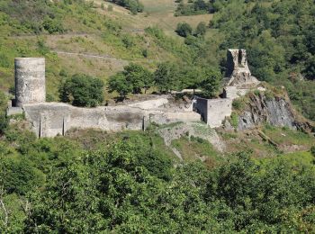 Tour Zu Fuß Bacharach - Rundwanderweg Esel (gelber Pfeil) - Photo