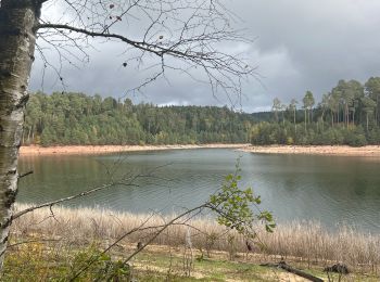 Trail sport Pexonne - Lac de pierre percée  - Photo