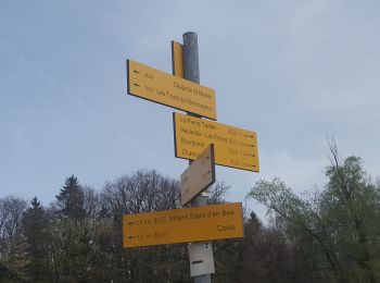 Tour Wandern La Trinité - Les Tours de Montmayeur au départ de la Trinité via col de Cochette - Photo