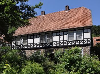 Tocht Te voet Onbekend - Hanseweg - Photo