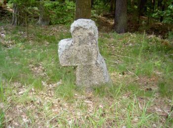 Tocht Te voet Mantel - Lohbachwinkelweg - Photo