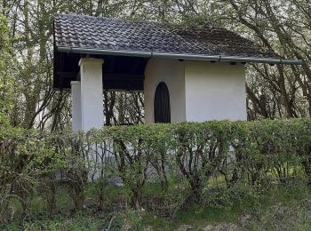 Tocht Te voet Hirschau - GeoPark Kaolinrevier Hirschau - Schnaittenbach - Photo