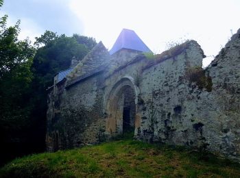 Randonnée A pied Saint-Martin-des-Champs - Vallée de la Pennélé - Photo