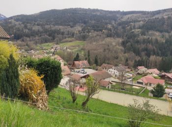 Tour Wandern Laval-en-Belledonne - Laval montfallet - Photo