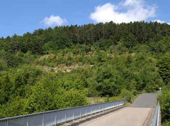 Excursión A pie Steinau an der Straße - Steinau a. d. Straße, Wanderweg 5 - Photo