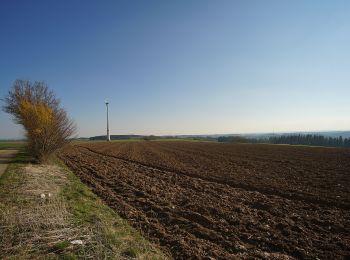 Tocht Te voet Schopfloch - Oberiflingen-Dießen - Photo