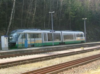 Tour Zu Fuß Bad Brambach - Wanderweg grüner Strich - Photo