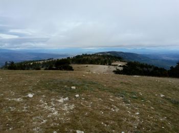 Trail Mountain bike La Bastide-des-Jourdans - Crêtes du grand Lubéron Est-Ouest - Photo