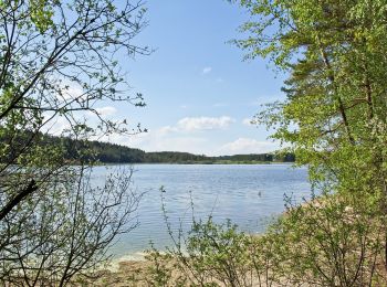 Tocht Te voet Gemeinde Heidenreichstein - Bruneiteichweg - Photo