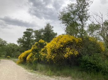 Excursión Senderismo La Roque-d'Anthéron - Marche de Laroque d’Anthéron vous avez dit 12h30 soleil - Photo