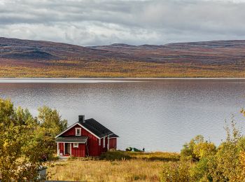 Tour Zu Fuß Enontekiö - Saanan luontopolku - Photo