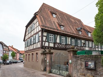 Excursión A pie Buchen (Odenwald) - Rundwanderweg Buchen 7: Wartberg-Werg - Photo