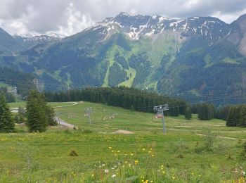 Tour Wandern Morzine - Arête de super Morzine - Photo