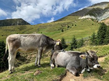 Tour Zu Fuß Sarntal - IT-3 - Photo