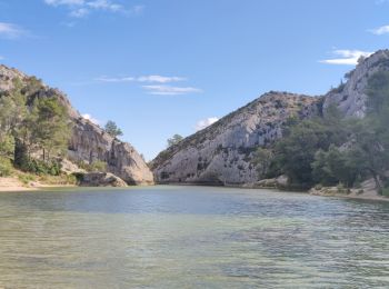 Randonnée Marche Saint-Rémy-de-Provence - Rando Saint-Remy Baux de Provence - Photo