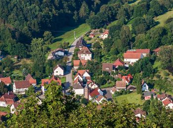 Randonnée A pied Schönau (Pfalz) - Salztrippler-Tour - Photo