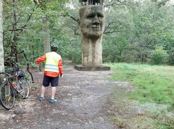 Tocht Hybride fiets Yerres - Yerres les fôrets du sud Chartrette Vaux le Viconte Melun gare - Photo